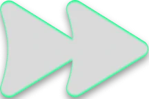 Double arrow icon